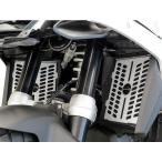 ODAXo Dux Powerbronze радиатор покрытие цвет : белый R1300GS BMW радиатор охлаждающий относящийся двигатель 