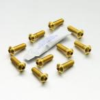 PRO BOLT プロボルト ディスクボルト 