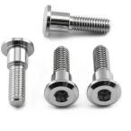 PRO BOLT プロボルト ディスクボルト 