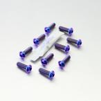 PRO BOLT プロボルト ディスクボルト 