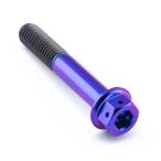 PRO BOLTp Robot ru Tria суппорт тормоза опора болт комплект цвет : лиловый CB600 Hornet FY-F6 CBR600FX-FY MT01 (1670cc) тормоз 