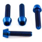 PRO BOLT プロボルト スクリーン／ミラー ボルトキット カラー：ブルー Ninja 400 KAWASAKI カワサキ スクリーンボルト 外装