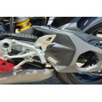 CNC Racingsi-ensi- рейсинг качающийся рычаг Swing Arm покрытие PANIGALE V4 S STREETFIGHTER DUCATI Ducati качающийся рычаг Swing Arm покрытие * протектор экстерьер 