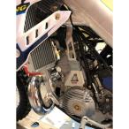 MECASYSTEM механизм система Injector Protector TM 250/300 AM 2 Timeout 2020 прочее впрыск *ECU относящийся опция * ремонт детали всасывающий относящийся двигатель 