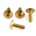 PRO BOLT Pro болт солнечный p защита крепление болт комплект цвет : Gold Street Scrambler TRIUMPH Triumph суппорт болт * крепление болт 
