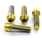 PRO BOLT プロボルト ライダー フット�