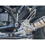 BABYFACE baby лицо Performance подножка комплект цвет : серебряный R12 nineT BMW задняя подножка подножка подвеска 