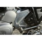 AGRAS Agras передний кожух звездочки анодированный алюминий цвет : titanium MEGURO S1 W230 KAWASAKI Kawasaki кожух звездочки экстерьер 