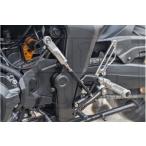 BABYFACE baby лицо Performance подножка комплект цвет :Gold CB1000 Hornet HONDA Honda задняя подножка подножка подвеска 