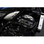TRICKSTAR Trick Star подрамник цвет : черный Z900 SE Z900RS CAFE KAWASAKI Kawasaki защита двигателя рама 