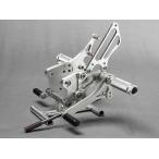 BABYFACE baby лицо [IDEAL] задняя подножка комплект цвет : черный ZX-12R KAWASAKI Kawasaki задняя подножка подножка подвеска 