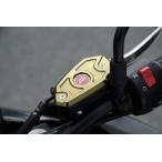 AGRAS Agras главный цилиндр колпак цвет : titanium W800 Z1000 ( водяное охлаждение ) KAWASAKI Kawasaki главный цилиндр крышка лючка бензобака * резервуар покрытие 