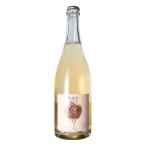 ショッピングお歳暮 2023 お歳暮 2025 誕生日 ギフト 業務店御用達 ブックロード 無濾過デラウエア 2023 1907-79 白 ワイン wine (62-7)