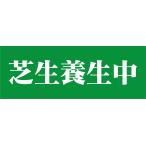 看板 屋外用 立入禁止 プレート看板 条件付き送料無料 令和２年製造 アルミ複合板 芝生養成中  W60cm x H20cm PL-sibahu1