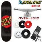 サンタクルーズスケボーコンプリート...