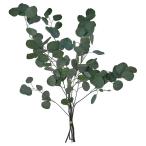 [IKEA/ Ikea / почтовый заказ ]TORKAto LUKA dry план to, пачка / eucalyptus green,70 cm[E](50638130)