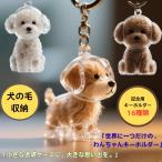 犬の毛収納キーホルダー メモリアルペットグッズ 透明ケース 愛犬 犬の毛キーホルダー 遺毛 ケース 遺毛入れ 抜け毛入れ 犬の毛収納ボトル 犬毛玉入れ ペット