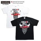 エースフラッグ ACEFLAG Tシャツ 半袖 