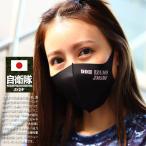 在庫あり 即発送 洗える マスク 速乾 通気性 布マスク 国内配送 いずも 出雲 DDH183 ヘリコプター搭載護衛艦 海上自衛隊 海自 かっこいい 布製 ステンシル文字
