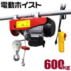 電動ホイスト 電動ウインチ 600kg 100V