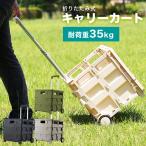 キャリーカート 折り畳み ショッピング コンパクト アウトドア ハンディカート 耐荷重35kg