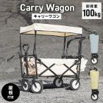 キャリーワゴン 屋根付き キャリーカート 折りたたみ 耐荷重100kg 収納カゴ付き ストッパー付き 頑丈フレーム アウトドア キャリー ワゴン キャンプ 台車