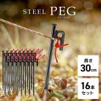  колок steel 30cm 16шт.@ ржавчина трудно уголь элемент сталь производства электро- . покрытие отражающий трос есть кемпинг палатка уличный брезент упаковочный пакет имеется 