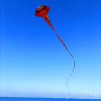  кайт .. кайт кайт нить имеется 500m большой крепкий нейлон Welina( АО ) уличный вне развлечение игрушка Kids взрослый детский модный способ игра Event 