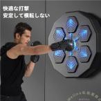 音楽ボクシングマシン スマートディスプレイライト付き Welina（株） 壁掛け子供大人エクササイズ ボクシングターゲット パンチングトレーニング機器