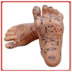 足つぼ模型 2個セット シリコン両足 反射区表記 ツボ学習 マネキン Welina 鍼灸/整体 練習用 資格対策 体系的に覚える 教材 足裏ケアにも