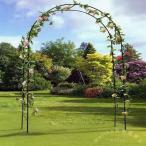  сад арка железный торцевая дверь роза арка цветок арка Welina( АО ) садоводство двор. вход . блестящий . фруктовое дерево полки тоже можно использовать модный садоводство фигурная скобка (LB-267 соответствует )