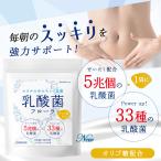 乳酸菌 サプリ フローラ ビフィズス菌 サプリメント オリゴ糖 5兆個 33種類の乳酸菌 体内環境 30日分