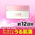 オールインワンジェル 保湿 無添加 無香料 無着色 パラベンフリー エタノールフリー お試し うる肌箋 30g