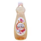 アドグッド　食器用洗剤　オレンジの香り　(600mL)　台所用洗剤