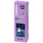 日本香堂 毎日ローソク ミニダルマ (100g) ろうそく 仏具 防災 備蓄