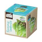 a- Tec eko культивирование комплект Re:Green Sunny lettuce 102974 свободный изучение 