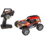 RC1/16 scale mud style series Lizard 