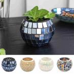 TMCmo The ik стекло держатель мяч 13024-833 лампа * растение в горшке 