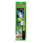 タチウオ電気ウキ釣り直行セット　