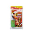 ZAPPYザッピー　ZP-034　わくわくサビキかご付セット　仕掛け