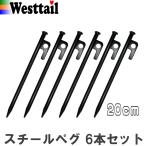 ペグ 20cm 6本セット 鍛造ペグ スチール テント タープ アウトドア キャンプ 錆びにくい 高強度鋼材
