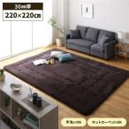  котацу матрац коврик примерно 220×220cm большой размер Brown квадратный ... эластичность . амортизирующие свойства сохранение тепла электроковер возможно living 