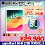 【ケース付】Apple iPad7 第7世代 MW6C2J/A au Wi-Fi+Cel 選べるカラー019 32GB A2198 [A10 32GB 10.2 iPadOS 17 シルバー] ：訳あり(背面凹)