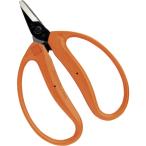 近正 チカマサ みかん�