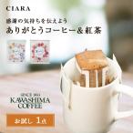 コーヒー ドリップパ