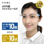 正規品 フェイスシールド 付替え 交換用 シールドのみ 眼鏡フレームのみ 10点 眼鏡型 透明 マスク 医療 フェイスガード 大人 シールド nk 夏