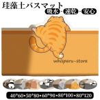 珪藻土バスマット 大判  風呂 足ふきマット 速乾 足拭きマット キッチンマット 珪藻土 滑り止め 浴室 洗面所 吸水 速乾 抗菌 滑り止め 北欧 脱衣所 吸水 ソフト