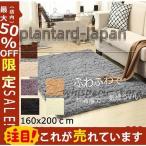 カーペット 　ラグ 厚手 2畳 オールシーズン 160×200 北欧 ラグマット 滑り止め マット 夏 冬 ホットカーペット対応 絨毯 床暖房対応