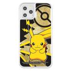 iPhone11 Pro ポケモン カバ