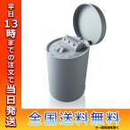 SALONIA サロニア ピュアブライトスチーマー フェイス スチーマー 美顔器  温冷 化粧水 保湿 毛穴ケア 化粧水 ミスト スキンケア 温スチーム スチーム 送料無料